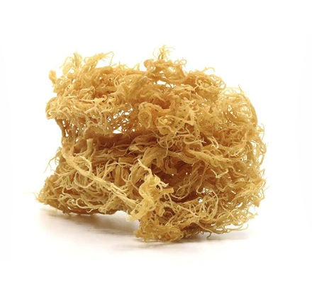 Irish sea moss gel has a number of health benefits