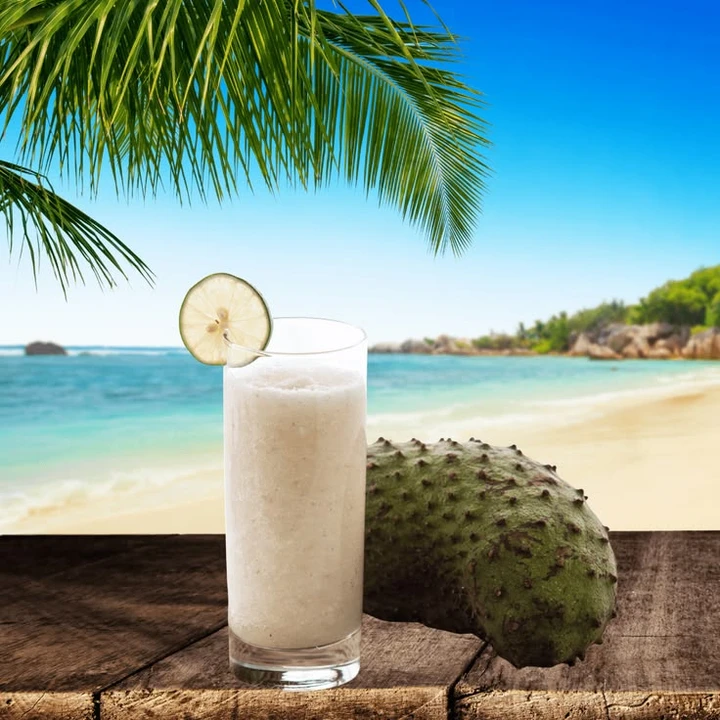Top 15 Reasons to Add Soursop Sea Moss Gel to Your Daily Routine