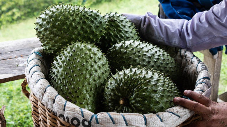 Soursop Benefits Explained: Everything You Need to Know Before Adding It to Your Diet