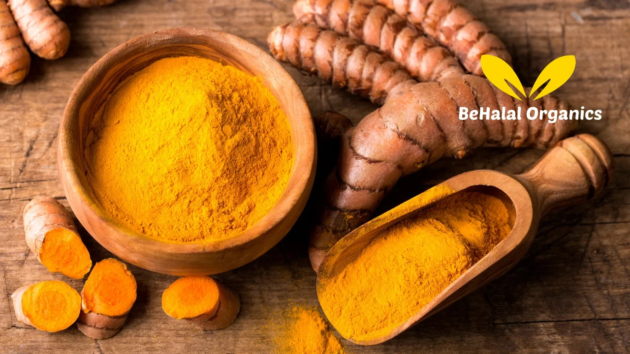 What to Know About Herbal Digestive Support with Turmeric and Botanicals