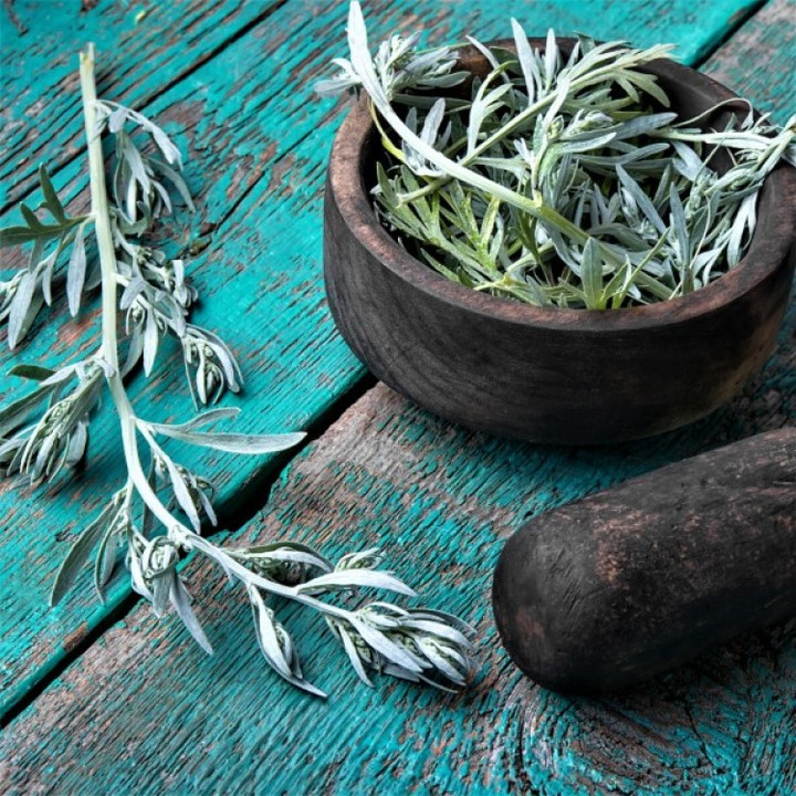 Wormwood Benefits: Unveiling Nature's Healing Herb