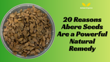 20 Reasons Abere Seeds Are a Powerful Natural Remedy