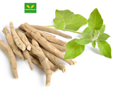 Discover Ashwagandha's Unique Health Benefits