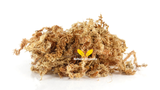 Why St. Lucia Gold Sea Moss Is the Purest Form of Irish Moss