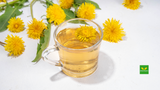 Dandelion Root Benefits: Why This Powerful Herb Is Gaining Popularity in Natural Medicine