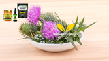 Natural Supplements for Men’s Energy and Stamina: What Works?