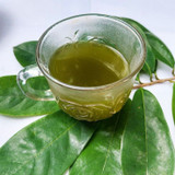 Soursop Leaves vs Soursop Fruit: Uses and Differences