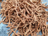 Does Mondia Whitei Root Powder Support Healthy Testosterone Levels?