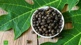 Papaya Seed Benefits: 15 Reasons to Add Them to Your Wellness Routine