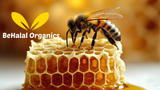 Mondia Whitei Honey: Potential Benefits and Important Considerations
