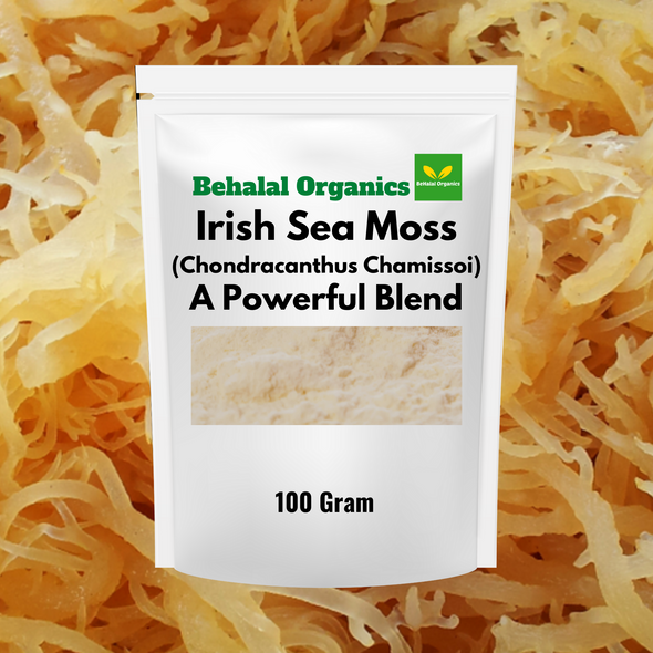 Irish Sea Moss Powder (Chondracanthus Chamissoi) Behalal Organics