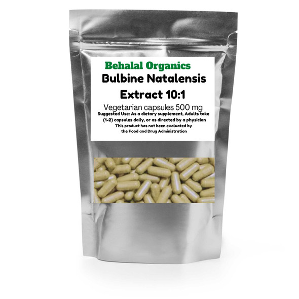 Bulbine Natalensis 10:1 Extract Quick 30 Capsules Behalal Organics