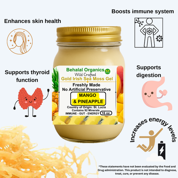 Mango & Pineapple Irish Sea Moss Gel with Lemon – Behalal Organics St. Lucia Gold Sea Moss Superfood, vegan and halal tropical wellness supplement