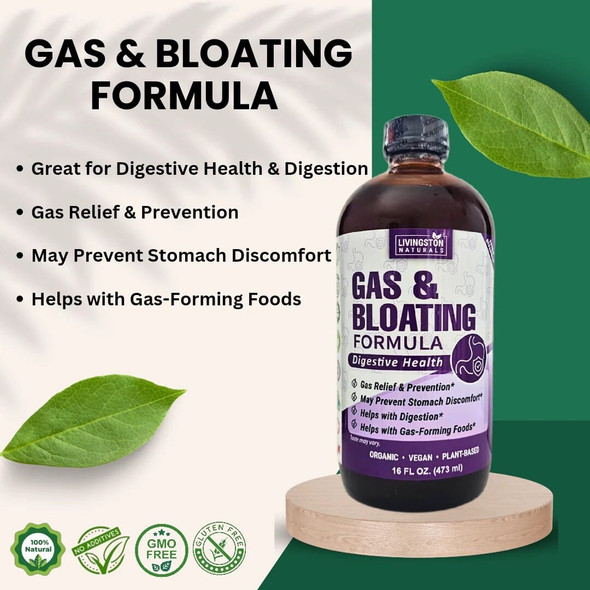 GAS & BLOATING Formula By Livingston Natural Herbal Labs, Plant-Based, 16 oz