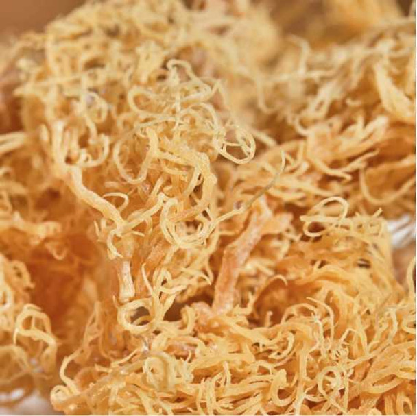 Irish Raw Sea Moss Wildcrafted | Premium Quality St Lucia Dr Sebi Inspired (Gold) Behalal Organics