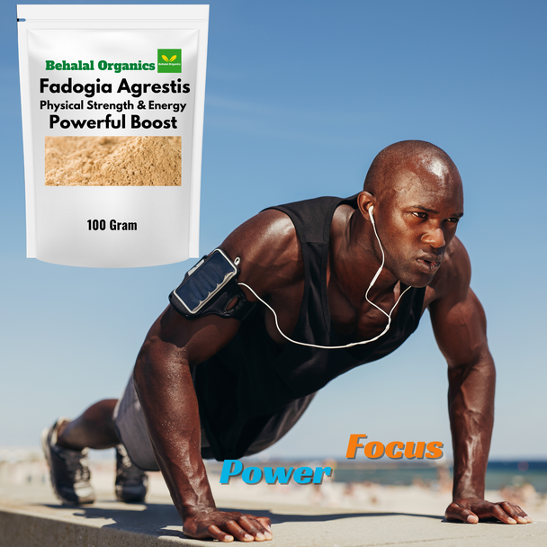 Fadogia Agrestis Powder Behalal Organics