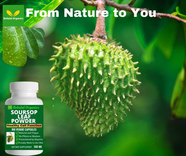 Soursop Graviola (Annona muricata) 500 mg, Healthy Cell Function*, 100 Veg Capsules