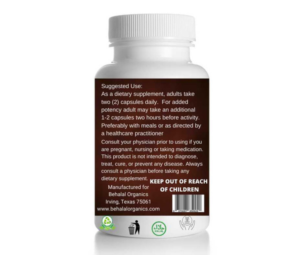 Lions Mane 100 Quick Release Capsules - 500mg Per Capsule Behalal Organics