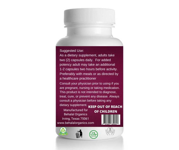 Elderberry 100 Quick Release Capsules - 500mg Per Capsule Behalal Organics