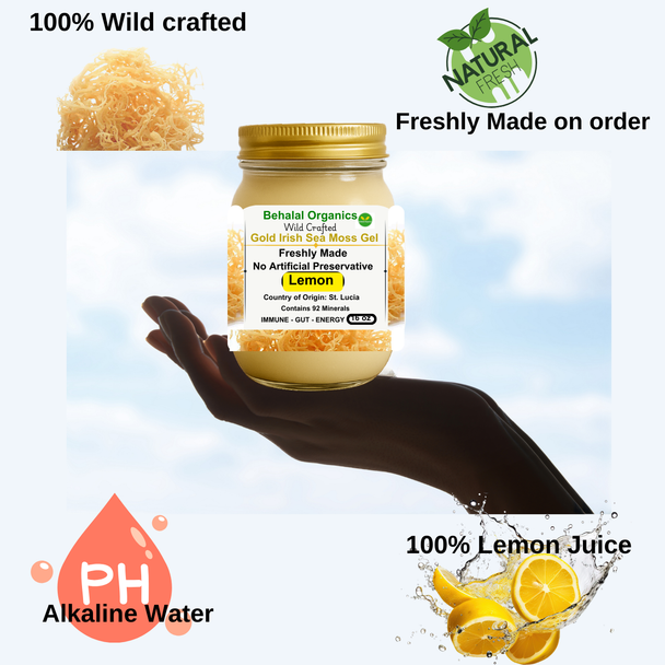 Jar of Lemon Irish Sea Moss Gel by Behalal Organics – Wildcrafted St. Lucia Gold sea moss, organic, vegan superfood supplement with citrus flavor in glass container, photographed with fresh lemons and tropical background