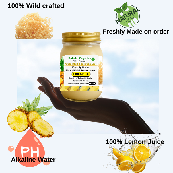 Jar of Pineapple Irish Sea Moss Gel by Behalal Organics – Wildcrafted St. Lucia Gold sea moss infused with real pineapple, organic vegan superfood supplement in glass jar, shown with fresh pineapple and tropical background