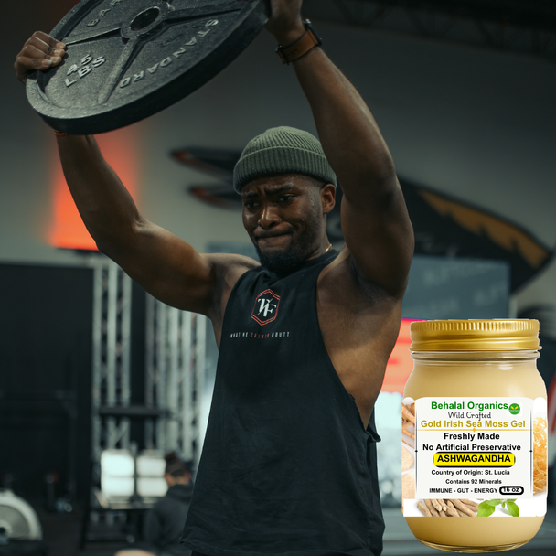 Ashwagandha and Lemon Irish Sea Moss Gel – Behalal Organics St. Lucia Gold Sea Moss Superfood, vegan and halal natural stress & wellness supplement