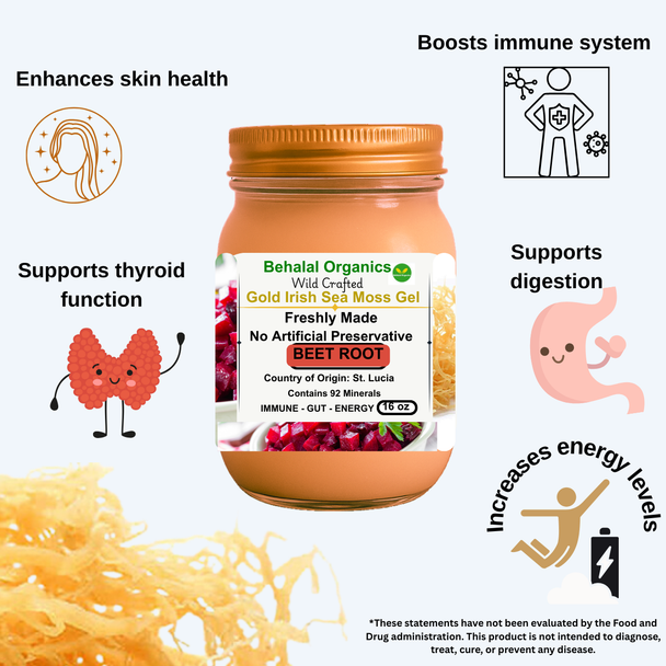 Beet Root and Lemon Irish Sea Moss Gel – Behalal Organics St. Lucia Gold Sea Moss Superfood, vegan and halal supplement for energy and vitality Beet Root and Lemon Irish Sea Moss Gel – Behalal Organics St. Lucia Gold Sea Moss Superfood, vegan and halal supplement for energy and vitality