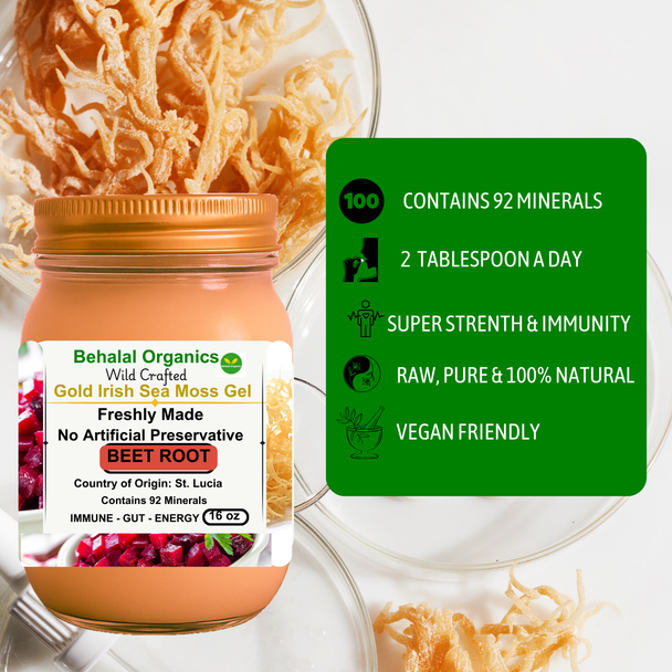 Beet Root and Lemon Irish Sea Moss Gel – Behalal Organics St. Lucia Gold Sea Moss Superfood, vegan and halal supplement for energy and vitality Beet Root and Lemon Irish Sea Moss Gel – Behalal Organics St. Lucia Gold Sea Moss Superfood, vegan and halal supplement for energy and vitality