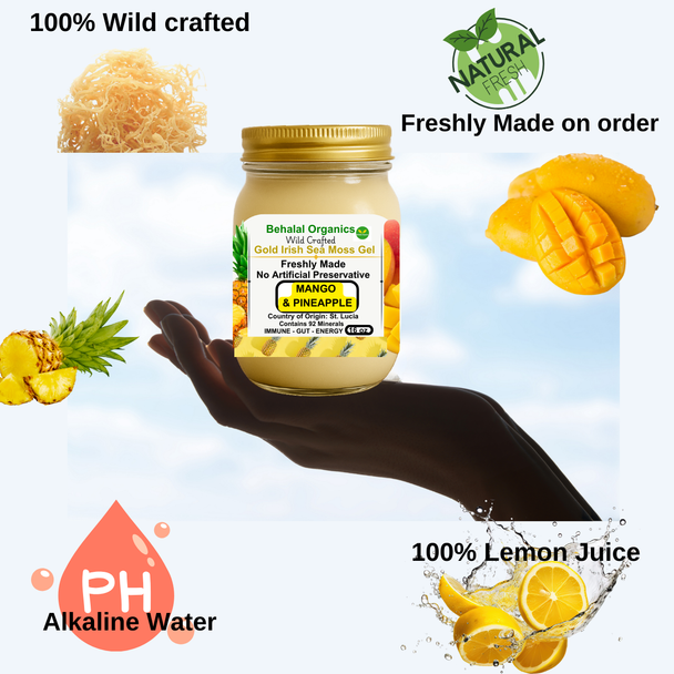 Mango & Pineapple Irish Sea Moss Gel with Lemon – Behalal Organics St. Lucia Gold Sea Moss Superfood, vegan and halal tropical wellness supplement