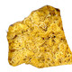 Irish Raw Sea Moss Wildcrafted | Premium Quality St Lucia Dr Sebi Inspired (Gold) Behalal Organics