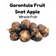 Gorontula Fruit ~ Diff Sizes Behalal Organics