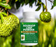 Behalal Organics Naturals Graviola 500mg - 100 Capsules (Soursop / “Hojas de Guanabana”) - Annona Muricata Leaf Powder – Herbal Supplement for Immune Support, Antioxidant, Organic Wellness