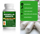 Boswellia Serrata 500mg 100 Quick Release vegan Capsules Behalal Organics