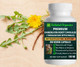 Dandelion Root 100 Quick Release Capsules - 500mg Per Capsule Behalal Organics