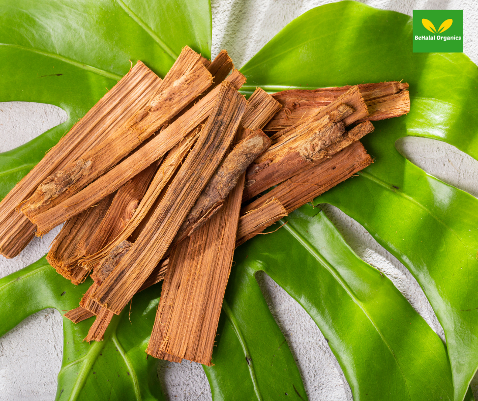 Image showcasing Cat's Claw Health Benefits - Behalal Organics