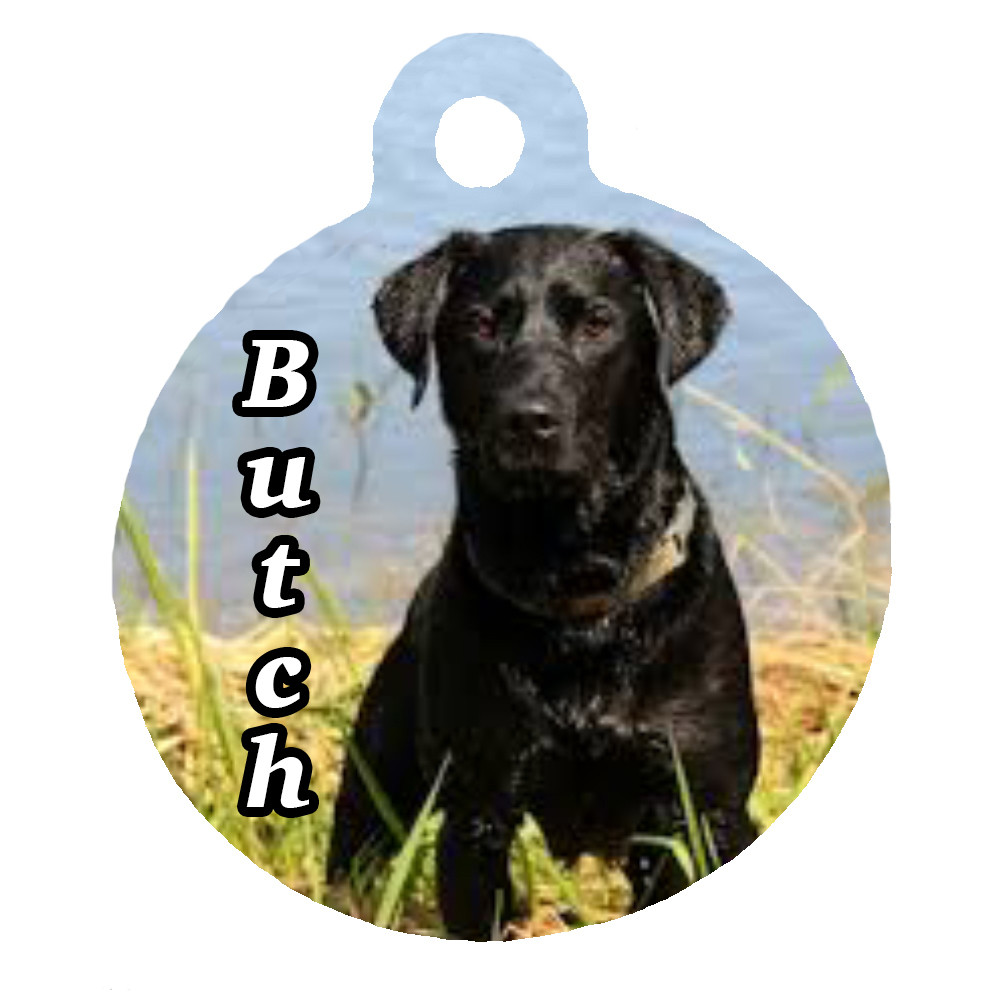 personalized pet charms