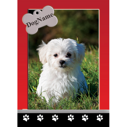 Custom Dog Trading Cards 9 That's A Buy
