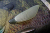 DEPS BULL SHOOTER 160 F Floating NEW