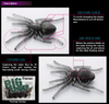 Gan Craft BIG SPIDER NEW