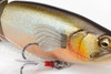 Megabass i-BRAKE # Silver Salmon NEW