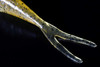 Deps SAKAMATA SHAD 5 NEW