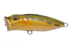 Megabass BABY POPX  NEW