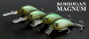 Deps KORRIGAN MAGNUM 150 Squarebill Crankbait NEW