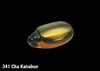 BASSDAY BUN Compact Insect Bait NEW