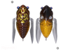 Megabass SIGLETT NEW