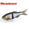 Megabass MAGDRAFT AYU TWITCHER NEW