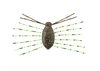 Jackall NEED BUG NEW
