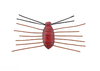Jackall NEED BUG NEW