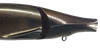 Eis Vogel AVIDO 190 F NEW