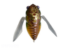 Megabass GRAND SIGLETT NEW